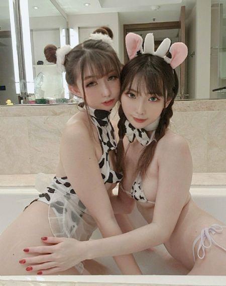 莲子功效作用与主治